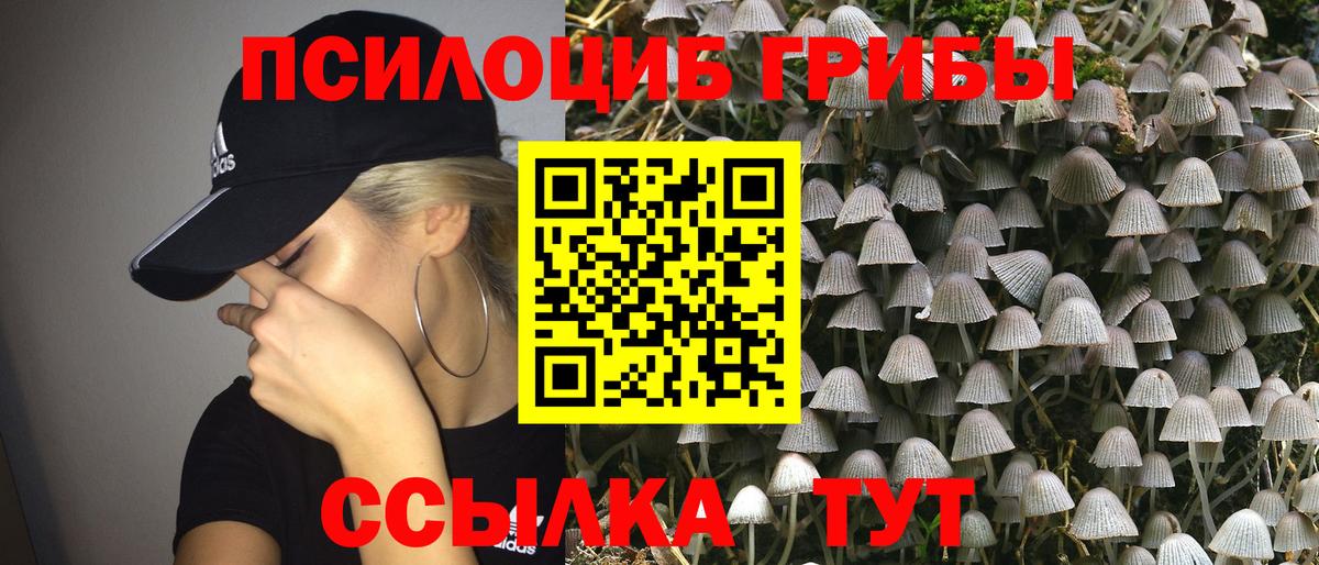 Саяногорск  Галлюциногенные грибы Cubensis  Галлюциногенные грибы мухоморы  Вход с VPN 